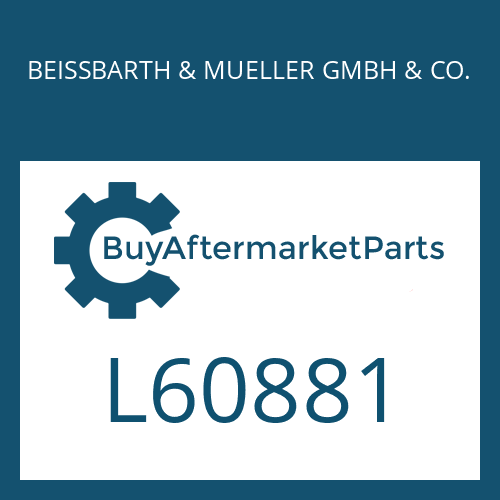 BEISSBARTH & MUELLER GMBH & CO. L60881 - TYPE PLATE