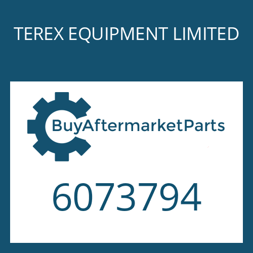 TEREX EQUIPMENT LIMITED 6073794 - GASKET