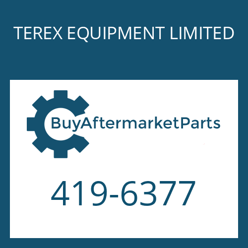 TEREX EQUIPMENT LIMITED 419-6377 - WASHER