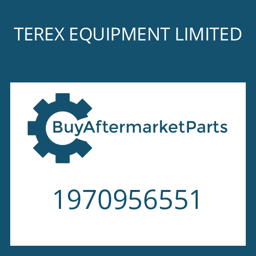 TEREX EQUIPMENT LIMITED 1970956551 - O-RING