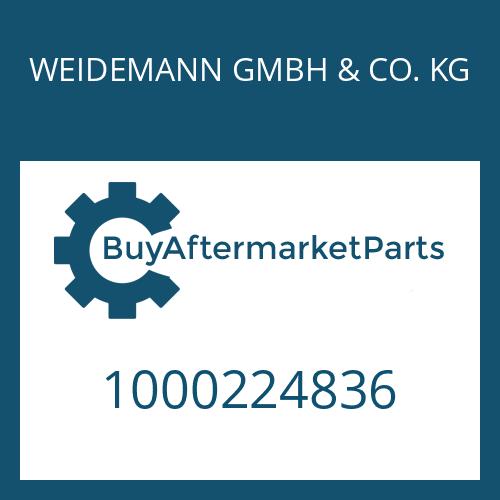 WEIDEMANN GMBH & CO. KG 1000224836 - O-RING