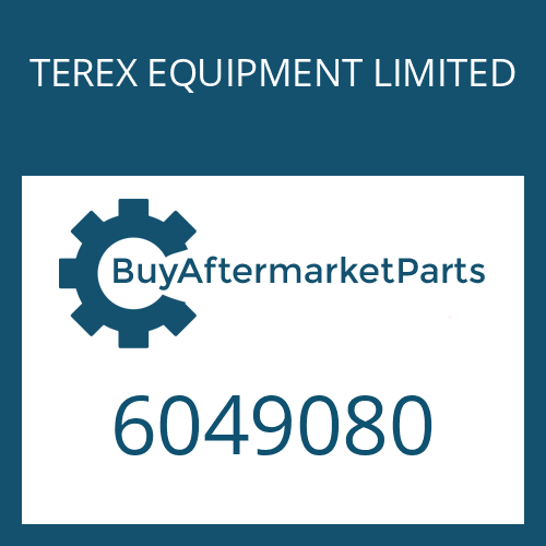 TEREX EQUIPMENT LIMITED 6049080 - O-RING