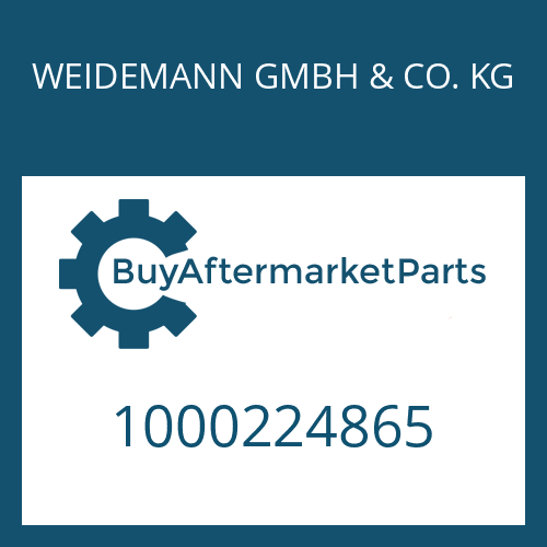 WEIDEMANN GMBH & CO. KG 1000224865 - O-RING