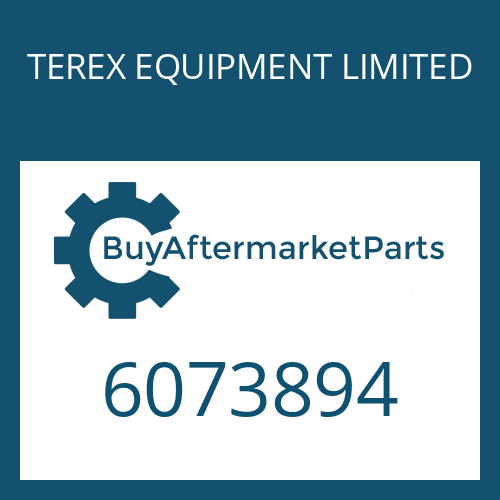 TEREX EQUIPMENT LIMITED 6073894 - AXIAL WASHER