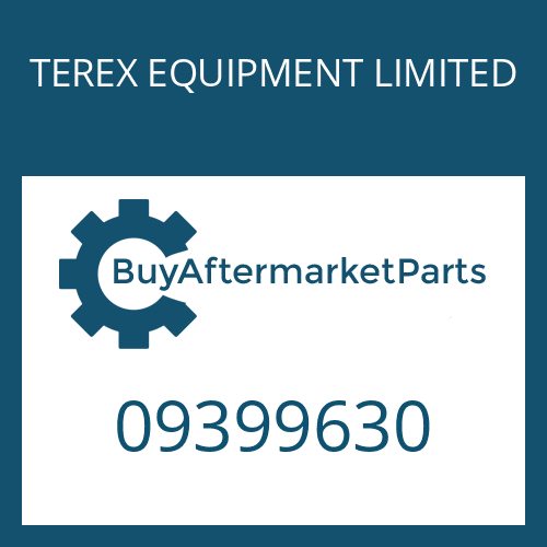 TEREX EQUIPMENT LIMITED 09399630 - CAP SCREW