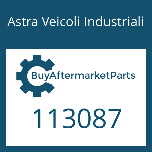 Astra Veicoli Industriali 113087 - SEAL KIT