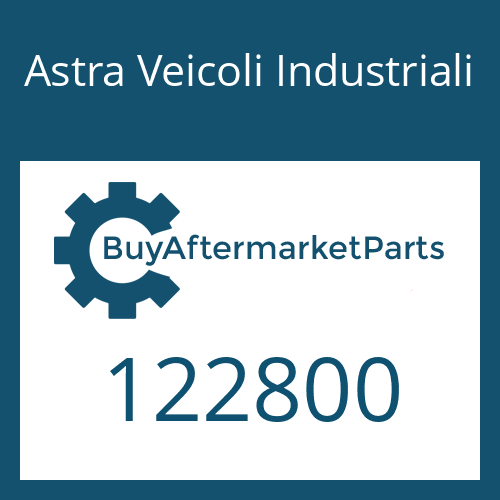 Astra Veicoli Industriali 122800 - SYNCHRONIZER SET