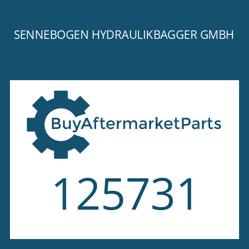 SENNEBOGEN HYDRAULIKBAGGER GMBH 125731 - DIFFERENTIAL