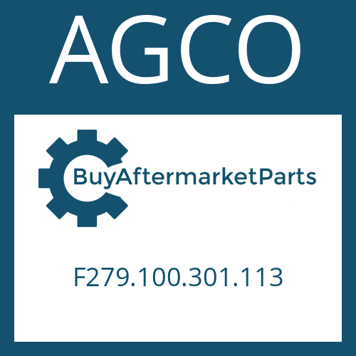 AGCO F279.100.301.113 - SHIM RING