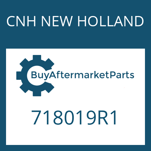 CNH NEW HOLLAND 718019R1 - WASHER