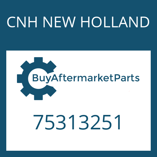 CNH NEW HOLLAND 75313251 - MONTAGEVORR.