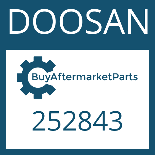 DOOSAN 252843 - WASHER