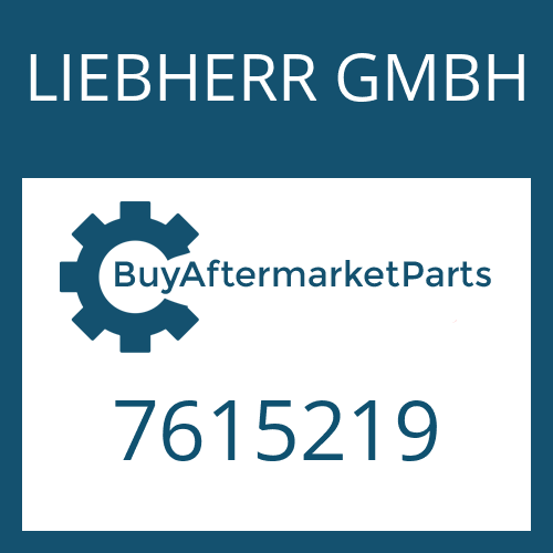 LIEBHERR GMBH 7615219 - PISTON RING