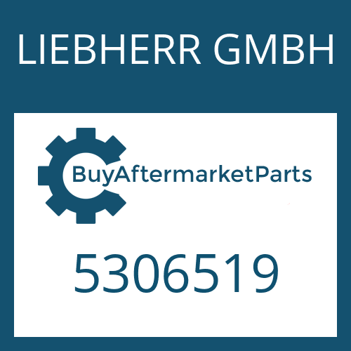 LIEBHERR GMBH 5306519 - HUB CARRIER