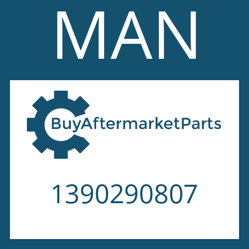 MAN 1390290807 - SET OF SPRINGS