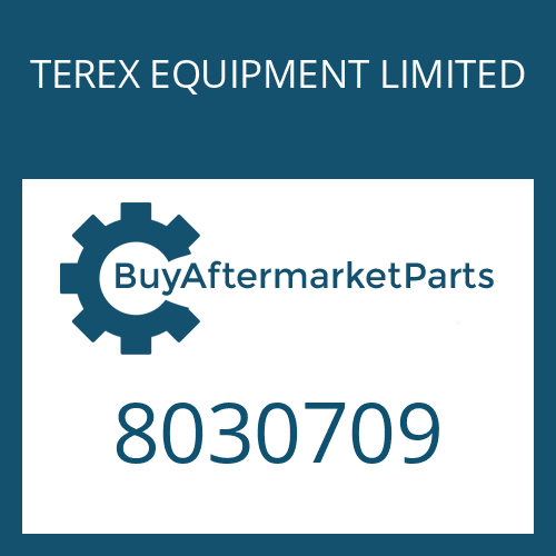 TEREX EQUIPMENT LIMITED 8030709 - O-RING