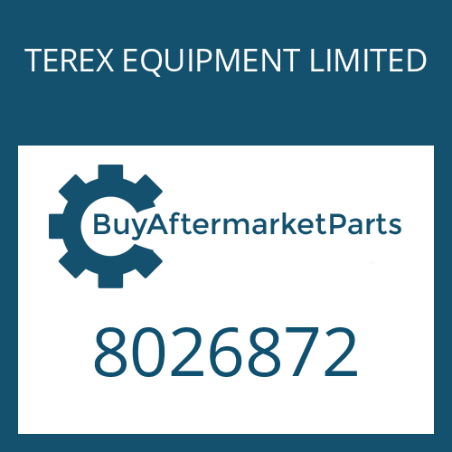 TEREX EQUIPMENT LIMITED 8026872 - PISTON RING