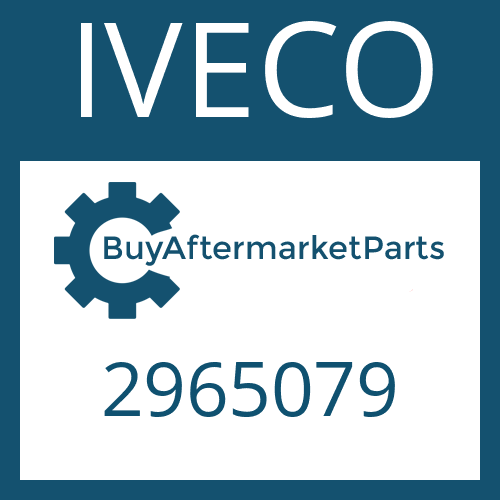 IVECO 2965079 - SLOTTED NUT