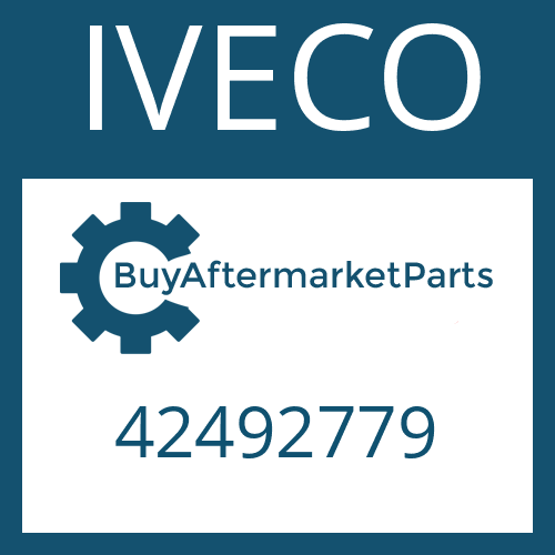 IVECO 42492779 - WASHER