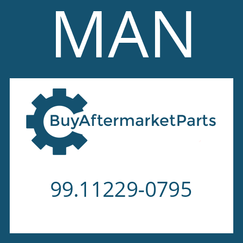 MAN 99.11229-0795 - O-RING for Heavy Equipment