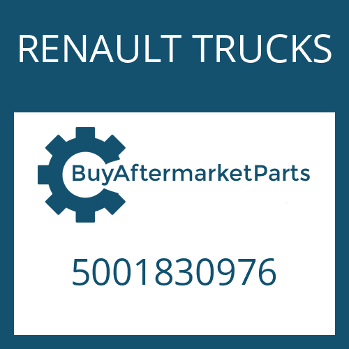 RENAULT TRUCKS 5001830976 - SHIM