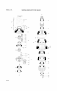 drawing for Hyundai Construction Equipment XKAQ-00145 - SHAFT-DRIVE