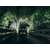 Фары RIGID Radiance Scene  панорамного света 100° Красная подсветка (пара), изображение 7