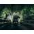 Фары RIGID Radiance Scene (4 светодиода) - Янтарная подсветка - Врезная установка (пара), изображение 8