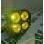 Светодиодные фары 80W, рабочего желтого светаСветодиодные фары 80W, рабочего желтого света