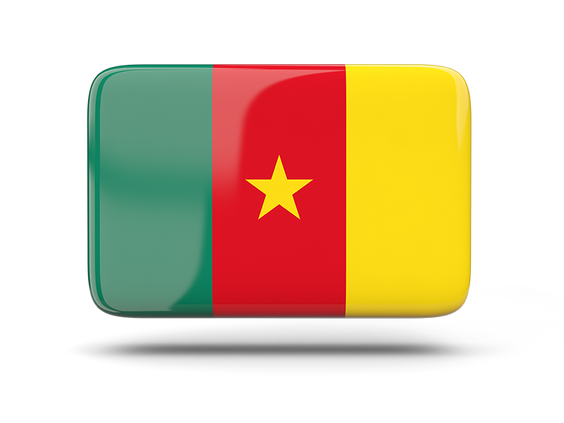  The Wraptel International SIM Card of Cameroon