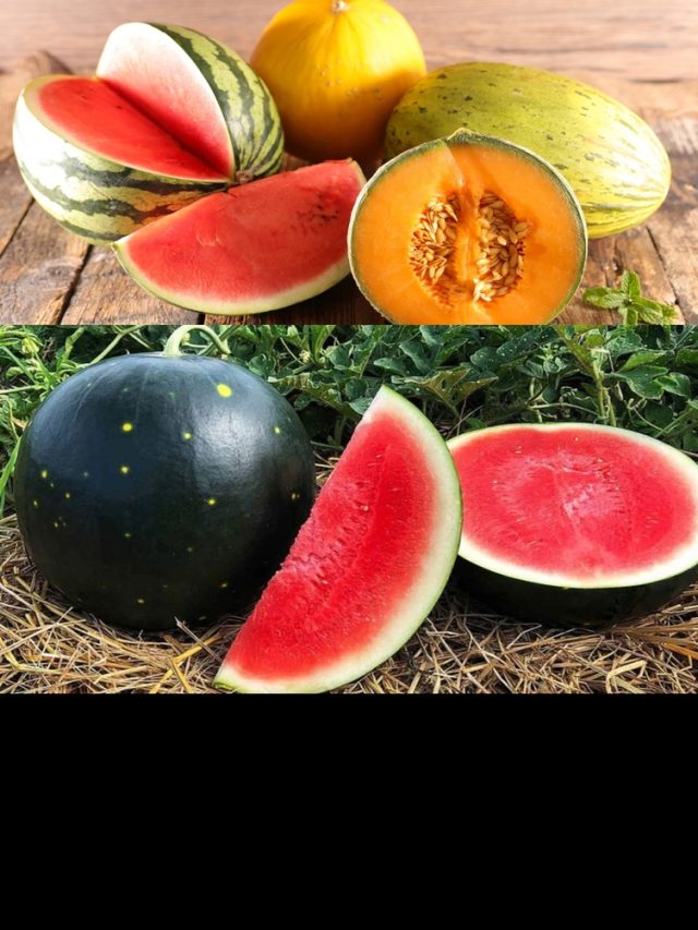 Benefits of Eating Watermelon and Muskmelon in Summer