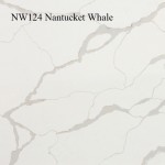 NW124-Nantucket-Whale