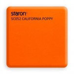 California_Poppy_SC_052_1372696843