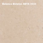 Belenco-Boletus-SETA-3333