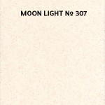 moon_light_307