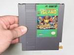 Adventure Island - Nintendo NES Game