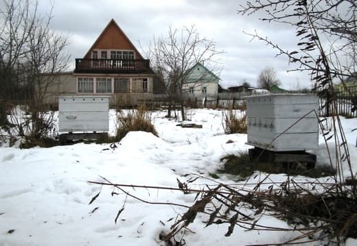 Ульи 20 рамочные Дадан лежаки на пасеке. Своя пасека 2005 год