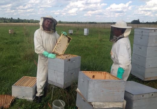 Пчеловодство. Работы на пасеке2