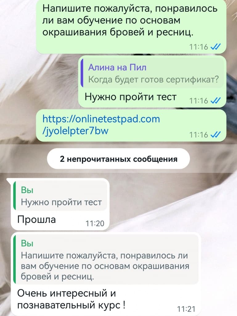 //cdn.optipic.io/site-105203/study/onlayn-kursy-vebinary-distantsionno/korrektsiya-i-okrashivanie-brovey-i-resnits-onlayn/Screenshot_20240827_112550.jpg