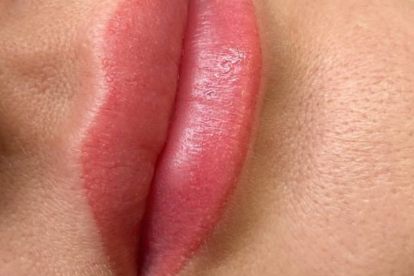 Мастер перманентного макияжа. Полный курс