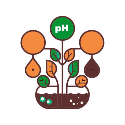 Reguladores de pH