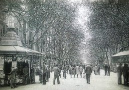 Passeig del Born in palma