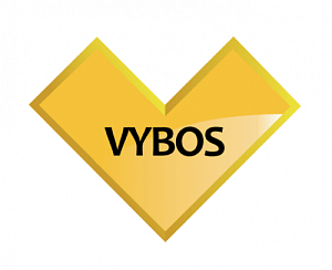 VYBOS LLC