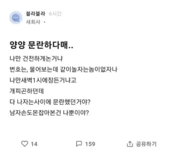 윤리적인 양양 후기