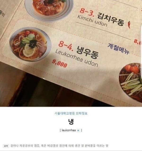 아직은 머나먼 번역의 세계