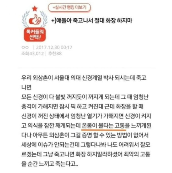 얘들아 죽고나서 절대 화장 하지마