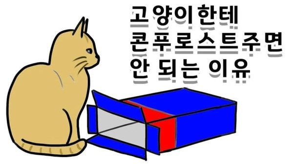 고양이한테 콘푸로스트 함부로 주지 마라