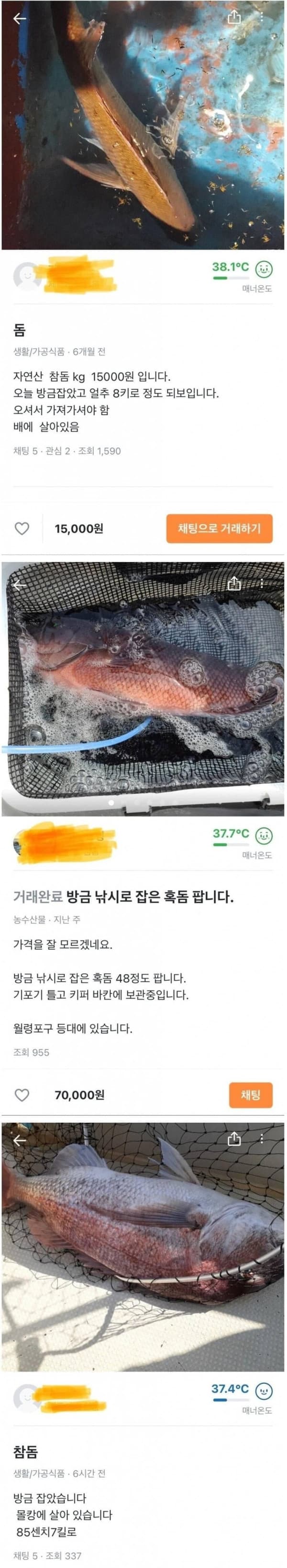 별걸 다 파는 제주도 당근마켓