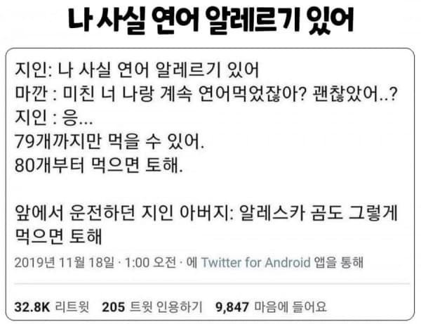 연어알러지