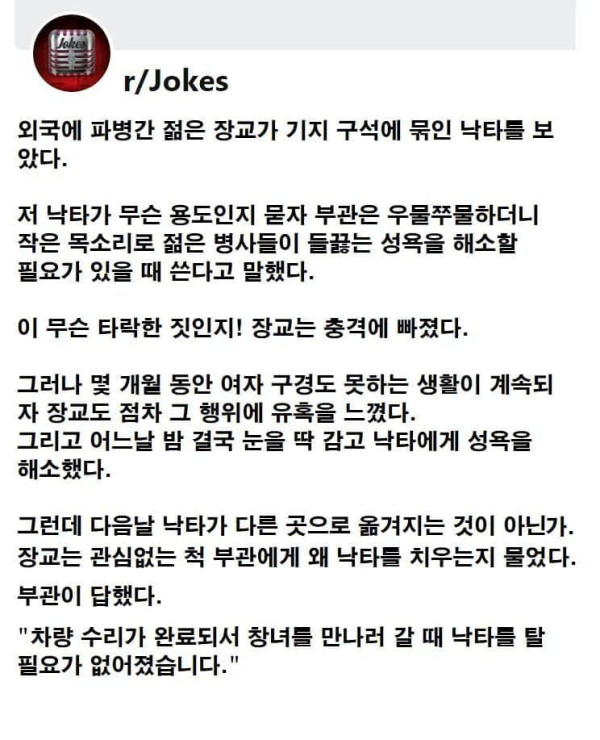 파병지에서 쓰이는 낙타의 용도